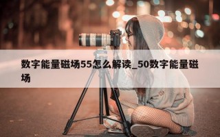 数字能量磁场 55 怎么解读_50 数字能量磁场