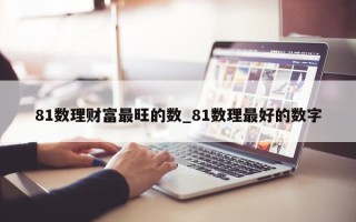 81 数理财富最旺的数_81 数理最好的数字