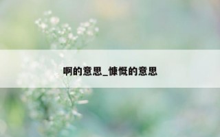 啊的意思_慷慨的意思