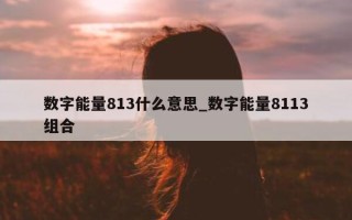 数字能量 813 什么意思_数字能量 8113 组合