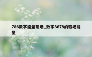 786 数字能量磁场_数字 8678 的磁场能量