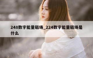 248 数字能量磁场_224 数字能量磁场是什么