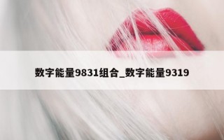 数字能量 9831 组合_数字能量 9319