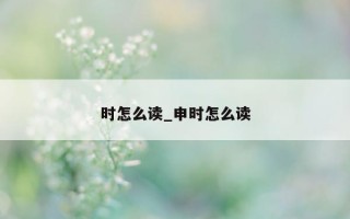 时怎么读_申时怎么读