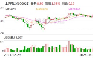 高质量发展成效显著 上海电力 2023 年净利润同比增长 376.56%。