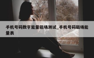 手机号码数字能量磁场测试_手机号码磁场能量表