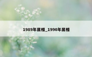 1989年属相_1990年属相