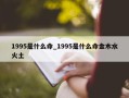 1995是什么命_1995是什么命金木水火土