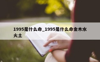 1995是什么命_1995是什么命金木水火土