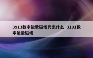 3913 数字能量磁场代表什么_3191 数字能量磁场