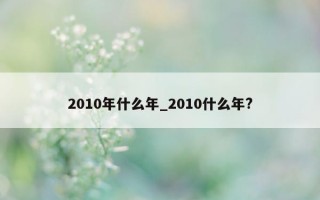 2010年什么年_2010什么年?