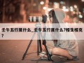 壬午五行属什么_壬午五行属什么?相生相克?