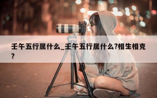 壬午五行属什么_壬午五行属什么?相生相克?