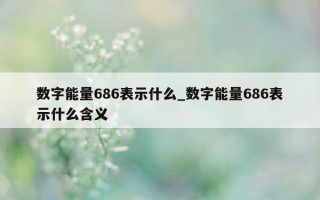 数字能量 686 表示什么_数字能量 686 表示什么含义