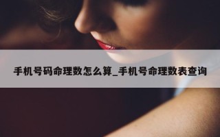 手机号码命理数怎么算_手机号命理数表查询