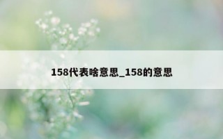 158 代表啥意思_158 的意思