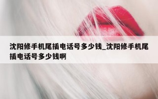 沈阳修手机尾插电话号多少钱_沈阳修手机尾插电话号多少钱啊