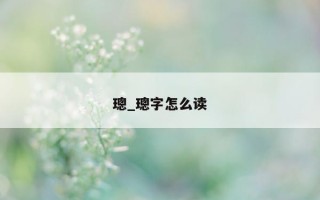 璁_璁字怎么读