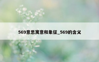 569 意思寓意和象征_569 的含义