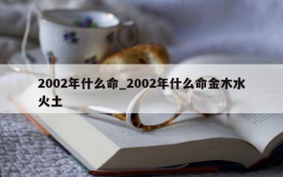 2002 年什么命_2002 年什么命金木水火土