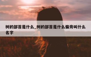 树的部首是什么_树的部首是什么偏旁叫什么名字