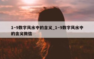 1～9 数字风水中的含义_1～9 数字风水中的含义微信