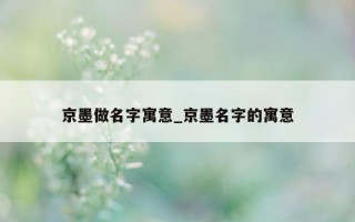 京墨做名字寓意_京墨名字的寓意