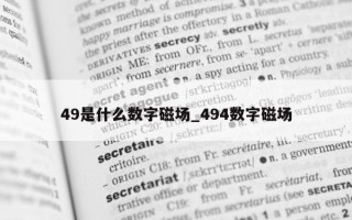 49 是什么数字磁场_494 数字磁场