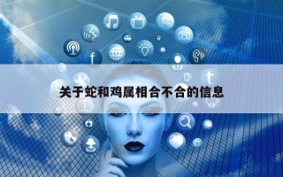 关于蛇和鸡属相合不合的信息