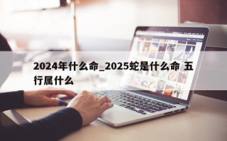 2024 年什么命_2025 蛇是什么命 五行属什么