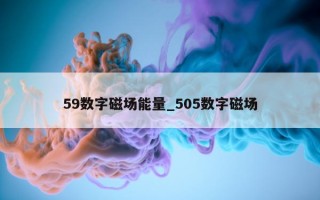 59 数字磁场能量_505 数字磁场