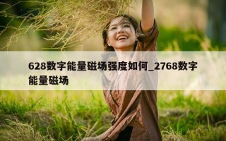 628 数字能量磁场强度如何_2768 数字能量磁场