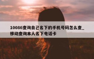 10086 查询自己名下的手机号码怎么查_移动查询本人名下电话卡