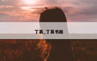 丁易_丁易书画