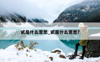 甙是什么意思_甙是什么意思?