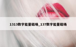 1313 数字能量磁场_137 数字能量磁场