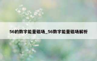 56 的数字能量磁场_56 数字能量磁场解析