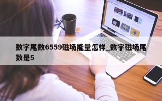 数字尾数 6559 磁场能量怎样_数字磁场尾数是 5