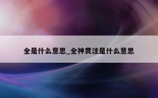 全是什么意思_全神贯注是什么意思