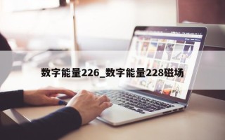 数字能量 226_数字能量 228 磁场