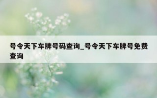 号令天下车牌号码查询_号令天下车牌号免费查询