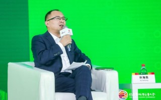 2024 ESG 全球领导者大会 | 许海亮主持“电力储能技术与可持续发展”对话