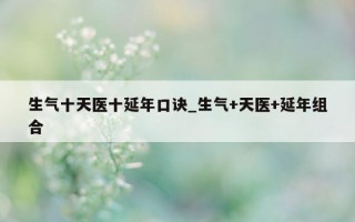 生气十天医十延年口诀_生气 + 天医 + 延年组合