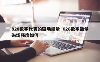 828 数字代表的磁场能量_628 数字能量磁场强度如何