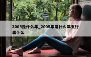 2005是什么年_2005年是什么年五行属什么