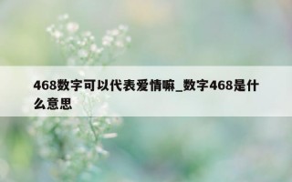 468 数字可以代表爱情嘛_数字 468 是什么意思