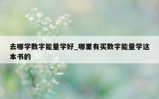 去哪学数字能量学好_哪里有买数字能量学这本书的