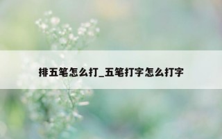 排五笔怎么打_五笔打字怎么打字