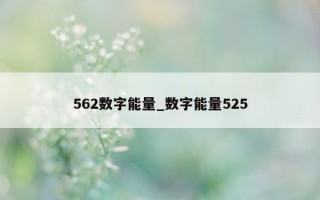 562 数字能量_数字能量 525