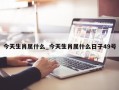 今天生肖属什么_今天生肖属什么日子49号